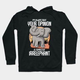 Your opinion is Irrelephant Hoodie